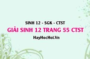 Giải Sinh 12 trang 55 Chân trời sáng tạo SGK